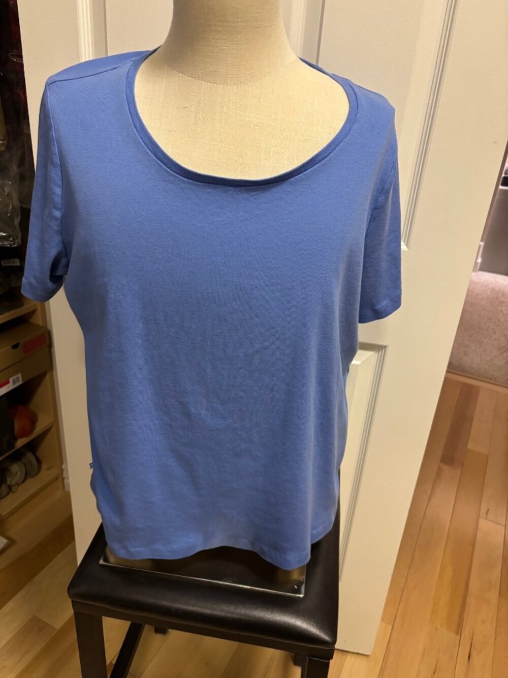Light blue, short sleeve scoop neck top